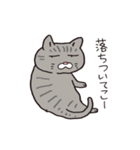 ボスにゃんこラプソディ（個別スタンプ：24）