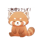 優しい敬語レッサーパンダ（個別スタンプ：11）