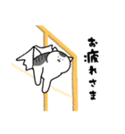 猫飼いさんが目にする日常（ヘソ天多め）（個別スタンプ：1）