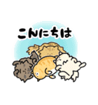 猫飼いさんが目にする日常（ヘソ天多め）（個別スタンプ：3）