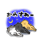 猫飼いさんが目にする日常（ヘソ天多め）（個別スタンプ：4）