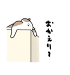 猫飼いさんが目にする日常（ヘソ天多め）（個別スタンプ：5）