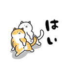 猫飼いさんが目にする日常（ヘソ天多め）（個別スタンプ：7）