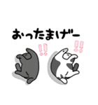 猫飼いさんが目にする日常（ヘソ天多め）（個別スタンプ：20）