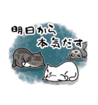 猫飼いさんが目にする日常（ヘソ天多め）（個別スタンプ：27）