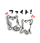 猫飼いさんが目にする日常（ヘソ天多め）（個別スタンプ：29）
