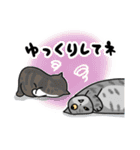 猫飼いさんが目にする日常（ヘソ天多め）（個別スタンプ：32）