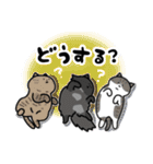 猫飼いさんが目にする日常（ヘソ天多め）（個別スタンプ：33）
