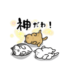 猫飼いさんが目にする日常（ヘソ天多め）（個別スタンプ：37）