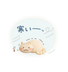 3D【冬】ずっと♪大人のやさしい［敬語］（個別スタンプ：13）