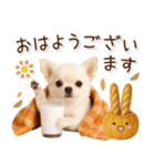 大人かわいい秋の癒しチワワ（個別スタンプ：2）
