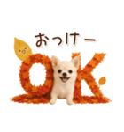 大人かわいい秋の癒しチワワ（個別スタンプ：3）