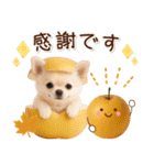 大人かわいい秋の癒しチワワ（個別スタンプ：11）