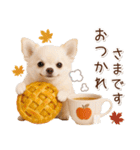 大人かわいい秋の癒しチワワ（個別スタンプ：13）