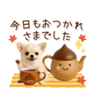 大人かわいい秋の癒しチワワ（個別スタンプ：14）