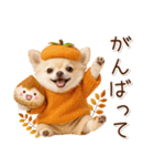 大人かわいい秋の癒しチワワ（個別スタンプ：16）