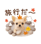 大人かわいい秋の癒しチワワ（個別スタンプ：17）