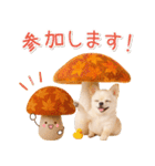 大人かわいい秋の癒しチワワ（個別スタンプ：18）