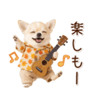 大人かわいい秋の癒しチワワ（個別スタンプ：19）
