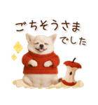 大人かわいい秋の癒しチワワ（個別スタンプ：21）