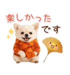 大人かわいい秋の癒しチワワ（個別スタンプ：22）
