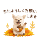 大人かわいい秋の癒しチワワ（個別スタンプ：23）