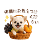 大人かわいい秋の癒しチワワ（個別スタンプ：26）