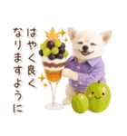 大人かわいい秋の癒しチワワ（個別スタンプ：27）