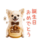 大人かわいい秋の癒しチワワ（個別スタンプ：37）