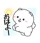 飛び出す！白ふわポメの気づかい（個別スタンプ：1）