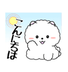 飛び出す！白ふわポメの気づかい（個別スタンプ：3）