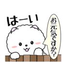 飛び出す！白ふわポメの気づかい（個別スタンプ：5）
