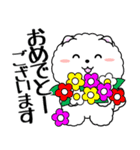 飛び出す！白ふわポメの気づかい（個別スタンプ：8）
