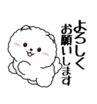 飛び出す！白ふわポメの気づかい（個別スタンプ：11）