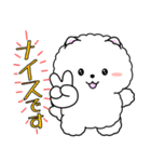 飛び出す！白ふわポメの気づかい（個別スタンプ：13）