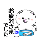 飛び出す！白ふわポメの気づかい（個別スタンプ：20）