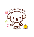 マルチーズ_モモのやさしい心（個別スタンプ：1）