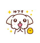 マルチーズ_モモのやさしい心（個別スタンプ：8）