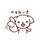 マルチーズ_モモのやさしい心（個別スタンプ：19）