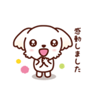 マルチーズ_モモのやさしい心（個別スタンプ：24）