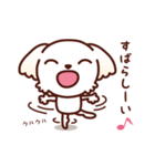 マルチーズ_モモのやさしい心（個別スタンプ：25）