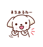 マルチーズ_モモのやさしい心（個別スタンプ：27）