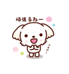 マルチーズ_モモのやさしい心（個別スタンプ：29）