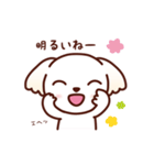 マルチーズ_モモのやさしい心（個別スタンプ：33）