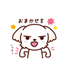 マルチーズ_モモのやさしい心（個別スタンプ：38）