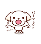 マルチーズ_モモのやさしい心（個別スタンプ：39）