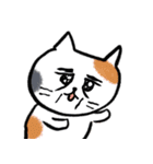 灰色キャットの高貴な生活（個別スタンプ：7）