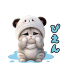 飛び出す！パンダ帽が可愛い猫 毎日使える（個別スタンプ：20）