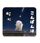 飛び出す！パンダ帽が可愛い猫 毎日使える（個別スタンプ：22）