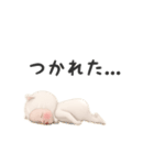 【動く】ネコタオル【使いやすい】（個別スタンプ：6）